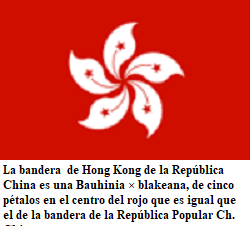 Se agrava la tensión entre EEUU y China por sanciones contra autoridades en Hong Kong
