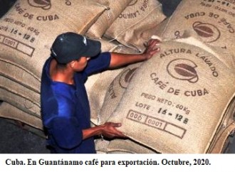 Guantánamo aumenta exportación de café mientras en Cuba no se encuentra ni en dólares