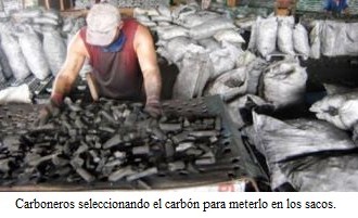 Carboneros de Las Tunas ganan el pulso a empresa estatal