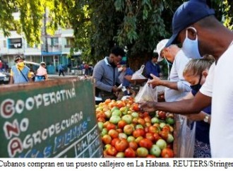 Costo de insumos estrangula a agricultores en Cuba: “No habrá qué comer”